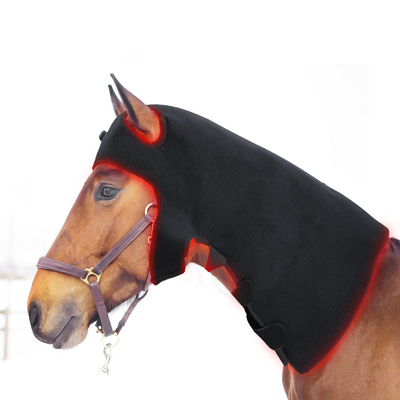 acheter La lampe légère infrarouge Pdt de cheval de thérapie a mené la machine légère pour le retrait de douleur fabrication en ligne