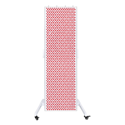 acheter machine légère infrarouge rouge de thérapie de la thérapie 850nm de lumière de 3000w 660nm pour le soulagement de la douleur fabrication en ligne