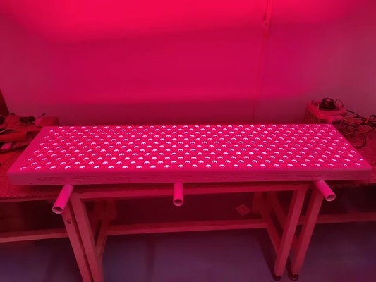 acheter dispositif rouge de thérapie de lumière rouge de la synchronisation 660nm 850nm du panneau LED PDT de la thérapie 3000W fabrication en ligne