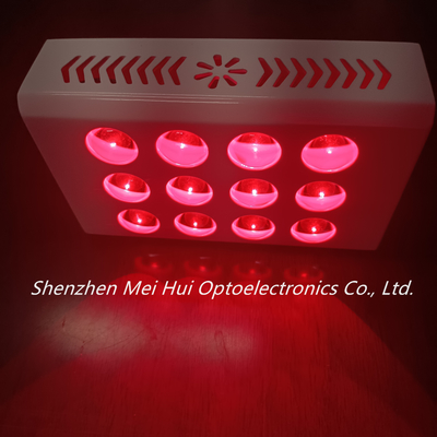 acheter la thérapie de lumière rouge de 40W PDT usine l'inflammation anti-vieillissement de diminution fabrication en ligne