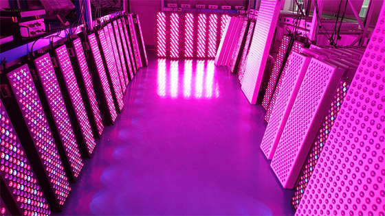 acheter Panneau de thérapie de la lumière rouge à corps entier de haute puissance de 1000 W avec une plage de fréquences de 50 Hz à 60 Hz et un angle de faisceau de 60 ° fabrication en ligne