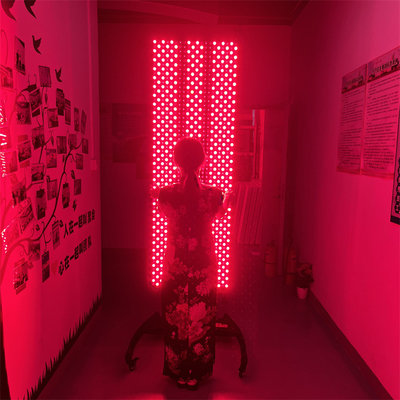acheter 660 nm 850 nm machines de thérapie de la lumière rouge pour le soulagement de la douleur et la régénération des tissus fabrication en ligne