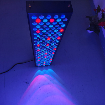 acheter Appareils de thérapie par la lumière rouge pour le corps entier fabrication en ligne