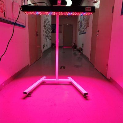 acheter Dispositif de thérapie lumineuse par PDT infrarouge de 300 à 6000 W OEM/ODM 8 longueurs d'onde Modèle d'utilisation de tout le corps fabrication en ligne