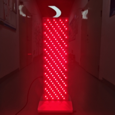 acheter Dispositif de thérapie de la lumière du visage à LED de corps entier 660 850nm fabrication en ligne