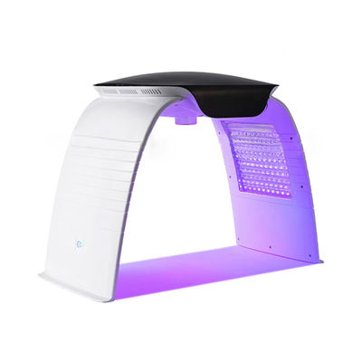 acheter Appareil de soins du visage portable à 7 couleurs LED Pdt Appareil de soins de la lumière LED Nano Water Spray Photothérapie Appareil de beauté avec tension AC110-240V fabrication en ligne