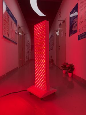 acheter High Power 2000W Red + Near Infrared Light Panel – OEM Factory with Pulse Mode & Brightness Control fabrication en ligne