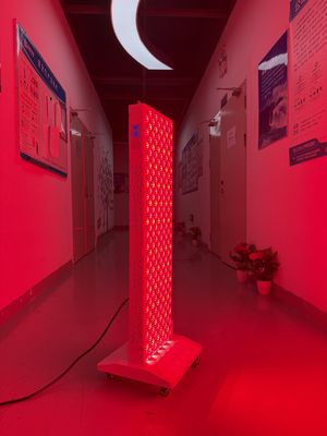acheter OEM Factory Supply 2000W Red Light Therapy Panel – 630/660/810/830/850nm Wavelength Options fabrication en ligne