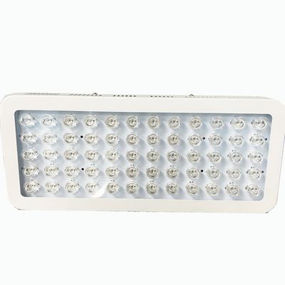 acheter lumière rouge de 300W 850nm et la thérapie de lumière voisine de l'infrarouge pour la douleur de genou fabrication en ligne