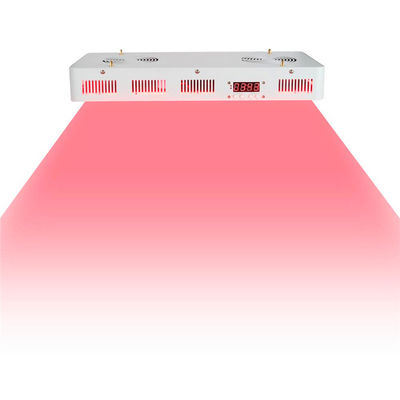 acheter Catégorie médicale 2 dans 1 nanomètre infrarouge de la physiothérapie 660nm 850 fabrication en ligne