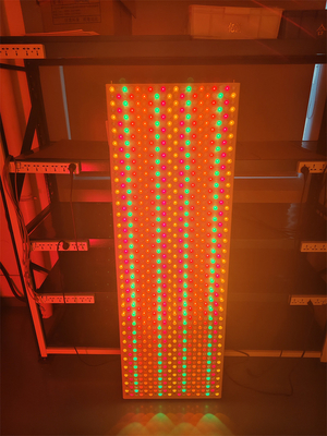 Panneau lumineux à LED de 6000w de 9 longueurs d'onde 535 590 610 630 660 810 830 850 1060Nm pour tout le corps