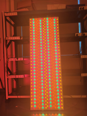 6000W ODM OEM lumière rouge thérapie lumière 535 590 610 630 660 810 830 850 1060Nm 9 longueur d'onde pour le traitement de l'acné et anti-âge