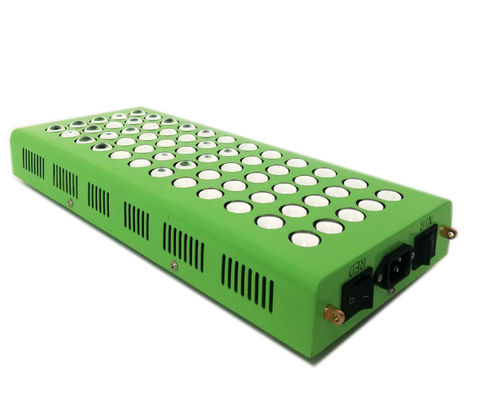 thérapie légère infrarouge anti-vieillissement de 300w 660nm 850nm pour la douleur de genou
