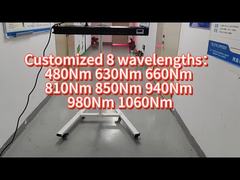 660nm 850nm 1000w Thérapie par la lumière LED corps entier Usage commercial et domestique